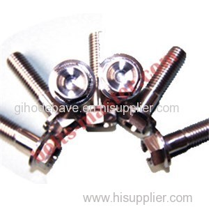 Titanium Hex Flange Head Screws