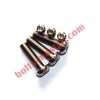 Titanium Allen Hex Socket Button Head Bolts