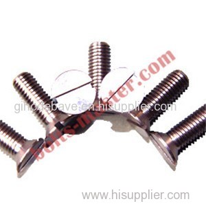 Titanium Slotted Countersunk Flat Head Screw