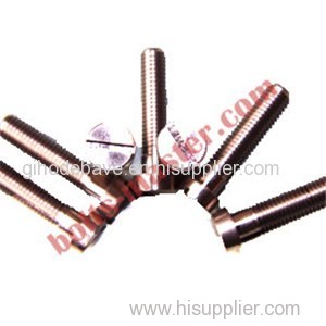 Titanium Slotted Head Screw