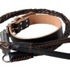 Pet Strap Tho-07 Product Product Product