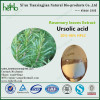 natural plant extract Ursolic 25%90%98% by HPLC