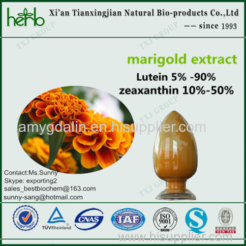 for eyesight healthy food ingredients Marigold Extract Lutein 5%~90% Zeaxanthin 5%~50%