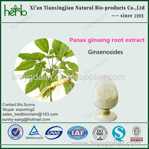 ginseng extract powder Ginsenosides