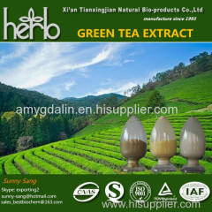 Green tea extract Tea polyphenol EGCG Catechins L-theanine
