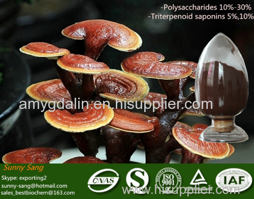 Ganoderma Lucidum reishi extract powder