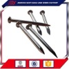 Common Nails/Wire Nail/low price