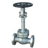 Cryogenic Globe Valve Product Product Product