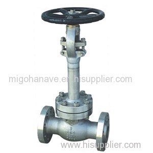 Cryogenic Globe Valve Product Product Product