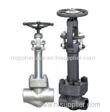 Forged Steel Cryogenic Globe Valve