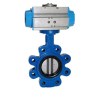 Marine Lug Style Butterfly Valve