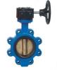 Lug Style Butterfly Valve