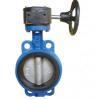 Gear Wafer Type Butterfly Valve