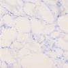 SS6037 Crystal Purple Popular Vein Quartz Kitchen Countertops Polished Tops