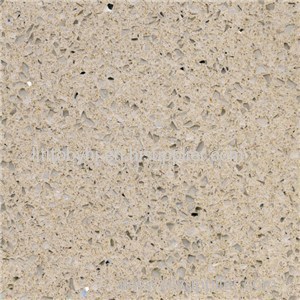 SS1600 Starfish White Product Product Product