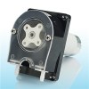 Mini Peristaltic Pumps For Washing Machine OEM206/WP300