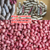 chinese red skin peanut (silihong peanuts)