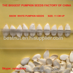 snow white pumpkin seeds