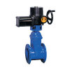 Electro Wedge Gate Valve