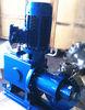 Electric Double Diaphragm Pump With Safety Valve For Dirty Water Treatment