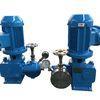 Automatic Chemical Resistant Double Diaphragm Metering Pump For Chemical Plant