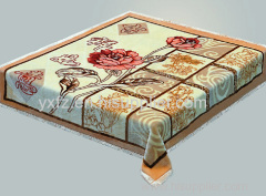 beige color 160*220cm 3KG blankets