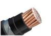 Single Core Armoured Electrical Cable 1kV Copper Conductor PVC Insulated Stainless Steel Tape Armor