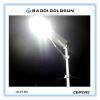 Solar street light JS-ST8W