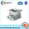 Customized Professional Manufacturer Aluminum Die Casting Moulding/Cold Chamber Die Casting Machine