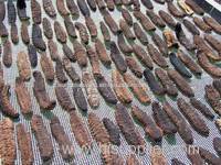 sea cucumber dried frozen and fresh shrimp.