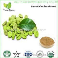 bulk powder green coffee bean extract