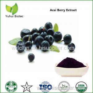 acai berry powder extract acai berry power slim acai extract acai fruit extract