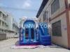 Custome Dolphins Inflatable Combos Bouncer / Blue Bounce House Slide Combo