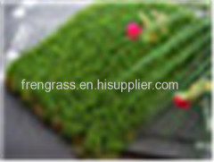 Landscape Grass WF -10