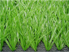 sports grass football -WF-4 Light