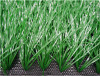 sports grass football -WF-J8000