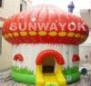 Small Strawberry Cartoon Inflatable Bouncer House For Amusement Park