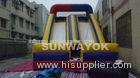 Two Sides Slide/Commercial Inflatable Slide/Inflatable Water Slide With Digital Printings