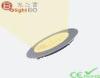 SMD Samsung 2323 15W Round Led Panel Light For Commercial Lighting