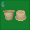 Customized new style paper flower pot and paper pulp mini flower pot