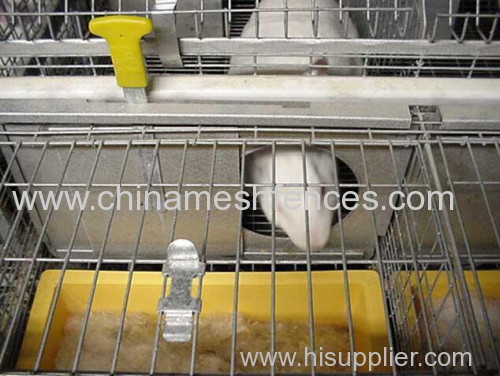 welded wire mesh young & female rabbit cage Kenya poultry farm