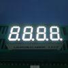 RoHS Four Digit 7 Segment Common Cathode Led Display White 0.36 Inch