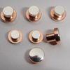 Electrical Sterling Silver Contact Rivets Round Head For Circuit Breakers