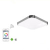 Smart LED Ceiling Light