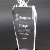 Sales Champion Crystal Award