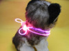 LED PP Dog Collar