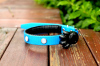 LED TPU Pet Collar