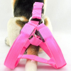 LED Dog Harness led