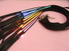 LED Nylon Dog Leash