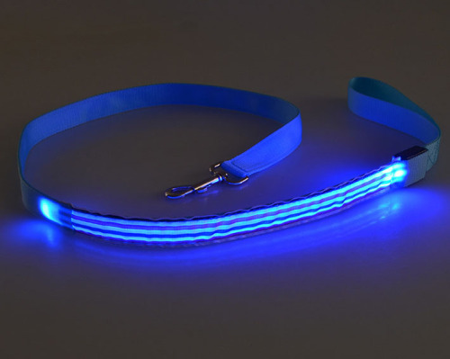 LED Colours Stripe Dog Leash